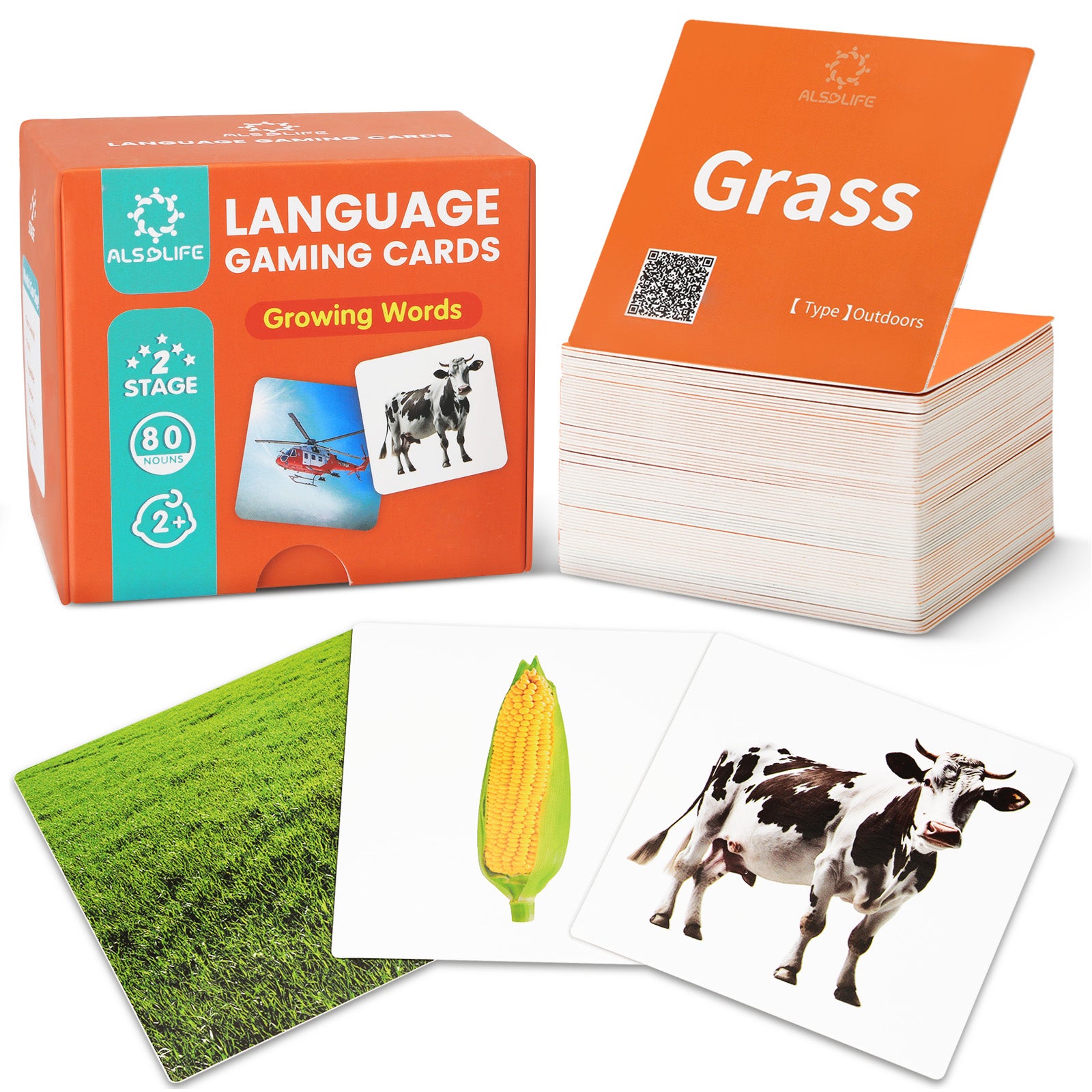 ALSOLIFE Growing Words Flashcards – Stage 2 (Ages 2–3)